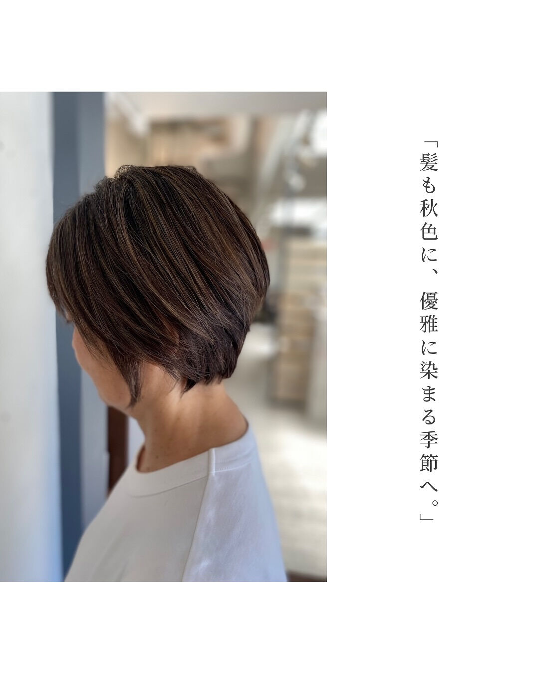 夏の紫外線や汗で疲れた髪、秋になってパサつきや色褪せ、白髪が